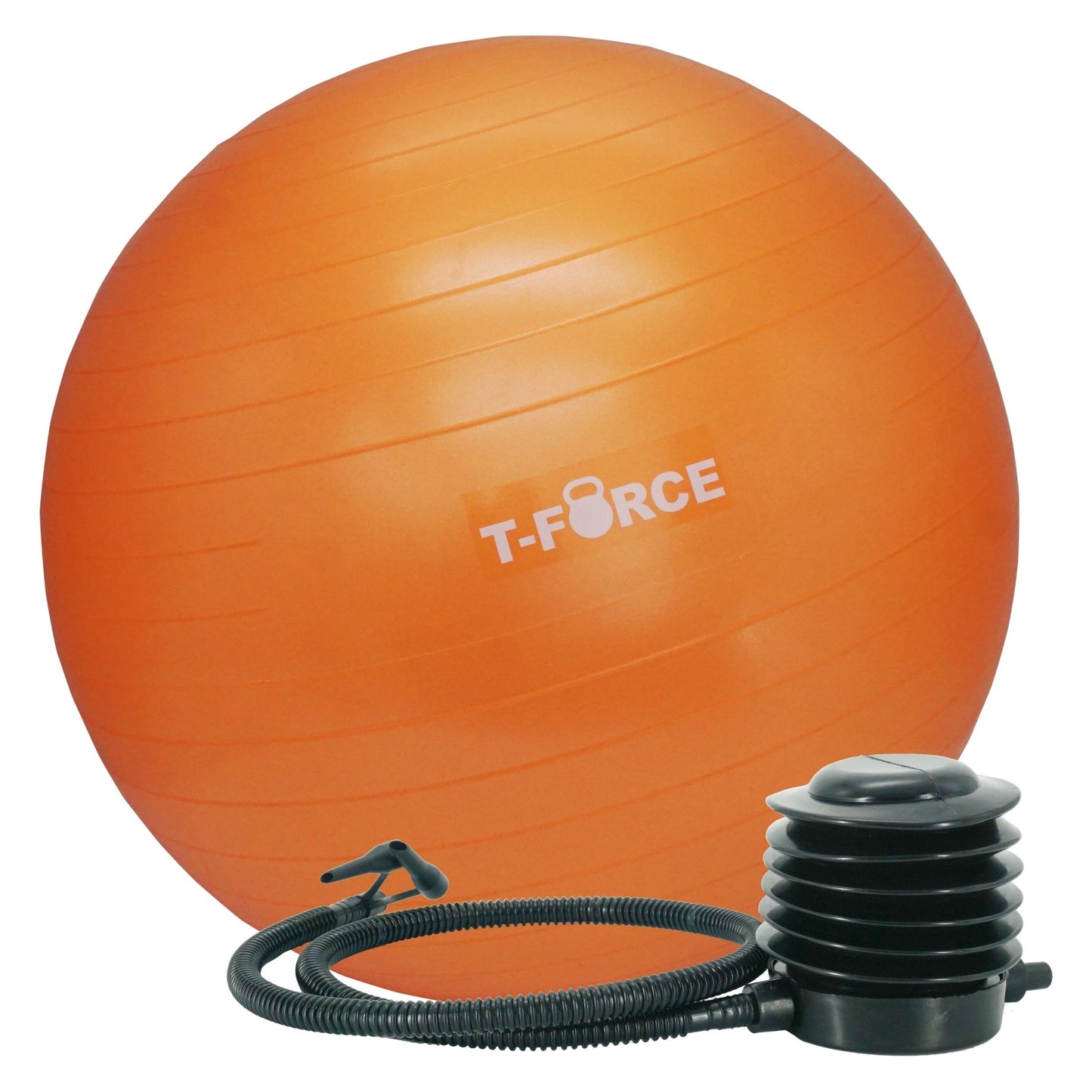 כדור פיזיו 65 ס"מ עם משאבת רגל