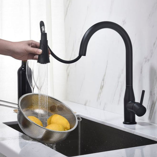 ברז מטבח נשלף הדסון שחור מט