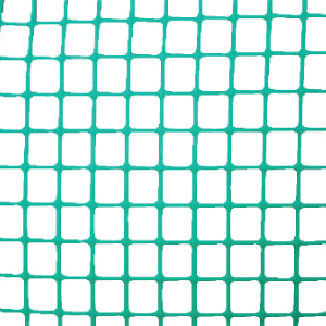 רשתות ליונים