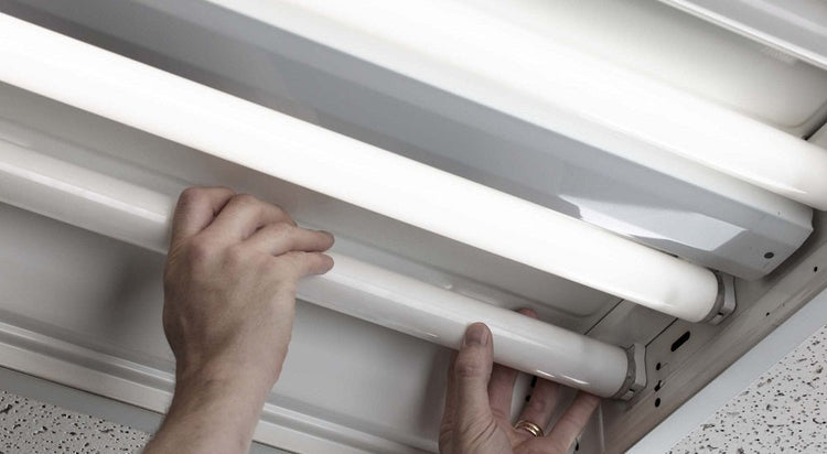 פלורסנטים LED- תת קבוצה