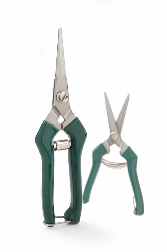 CUTמזמרת קטיף מקצועיתM14                