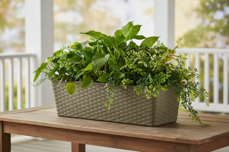 אדנית למרפסת ולגינה דמוי ראטן בז' 50 סמ