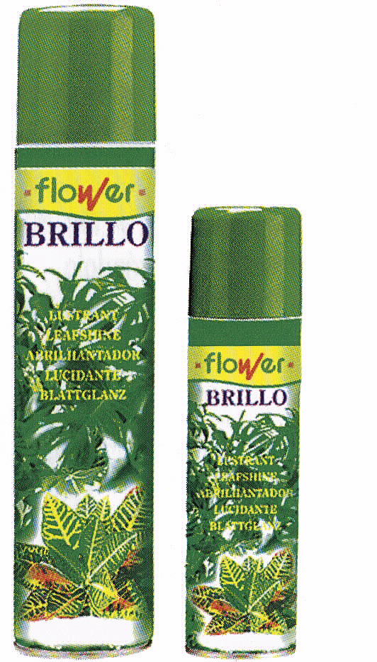 מבריק עלים טבעיים 600 סמ"ק