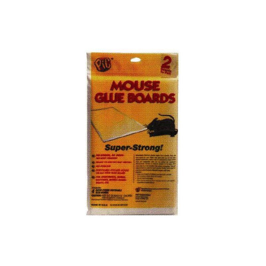 מלכודת דבק לחולדה דף - זוג