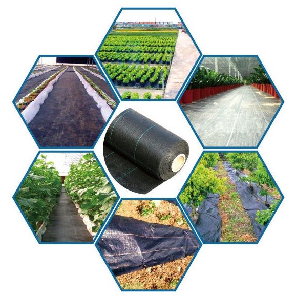 בד חיפוי קרקע ברוחב 1 מטר המחיר הוא למטר רץ