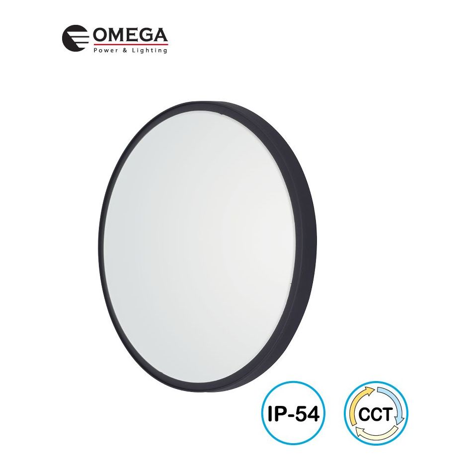 פלפון מוגן 30W CCT BRUNO שחור Ø300mm IP54