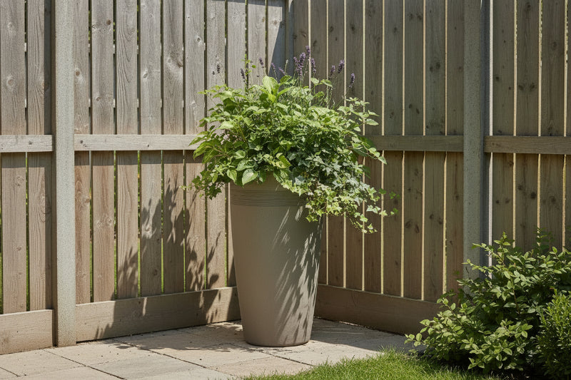 עציץ גליל גבוה פלסטיק בג