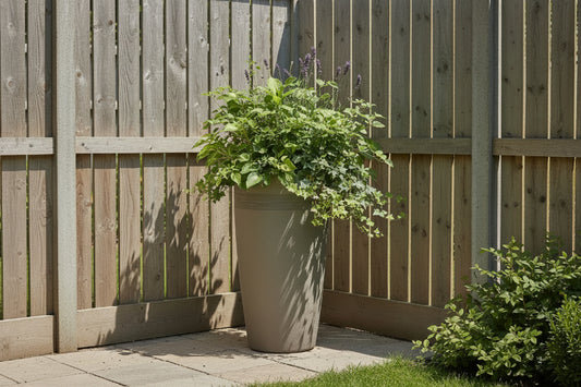 עציץ גליל גבוה פלסטיק בג