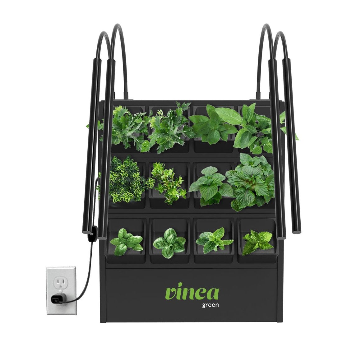 מערכת הידרופונית שחור 12 צמחים עם תאורת גידול