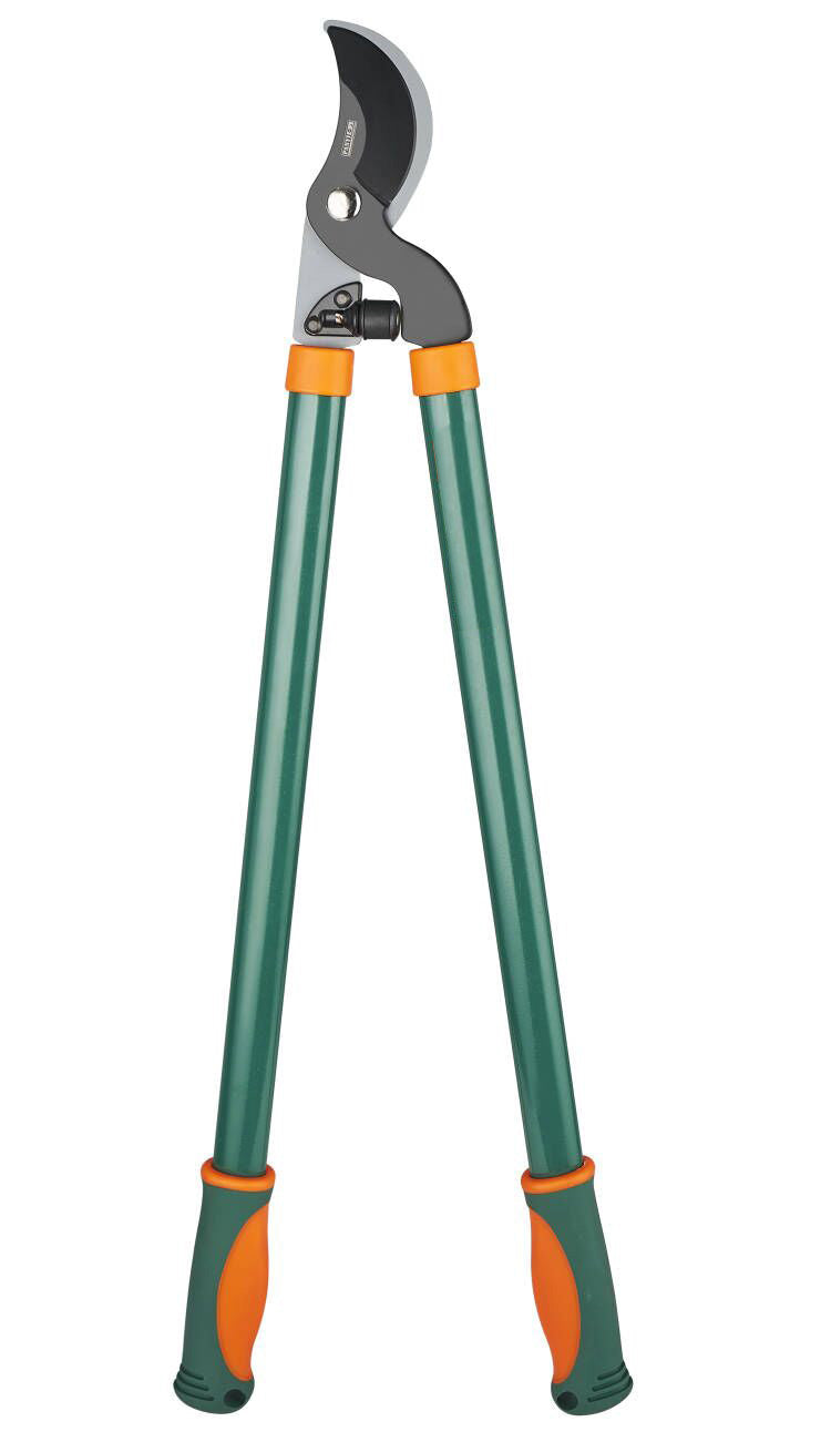 מזמרת ענפים