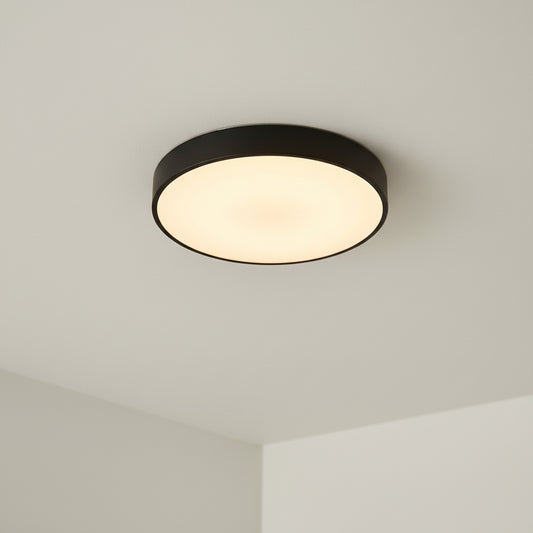 גוף תאורה צמוד תקרה