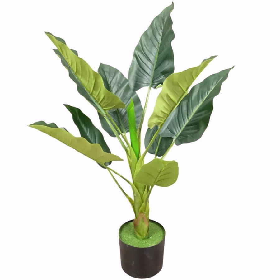 עץ דגם קאלה 85
