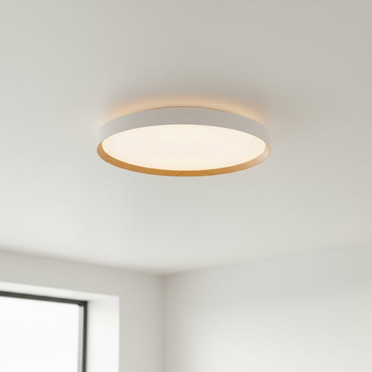 גוף תאורה צמוד תקרה