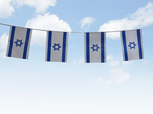דגל ישראל מרובע ‎ 30X40 שרשרת 3 מטר