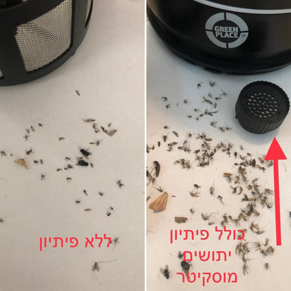 קטלן חרקים הוריקן בית כולל פתיון