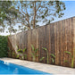 במבוק מושחל 30-35 שחור 1*2 - Garden Top