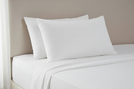 זוג כריות שינה פוך נוצות פספורט 50/70 סמ