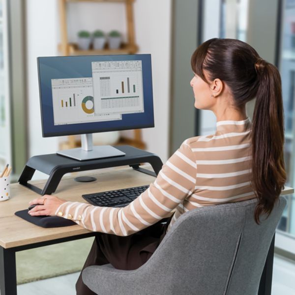 מעמד למסך מחשב Hana™ LT