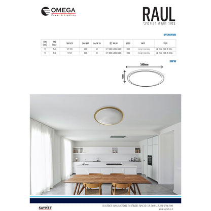 פלפון חכם RAUL קוטר 54 סמ 100W CCT כולל שלט שחור+זהב