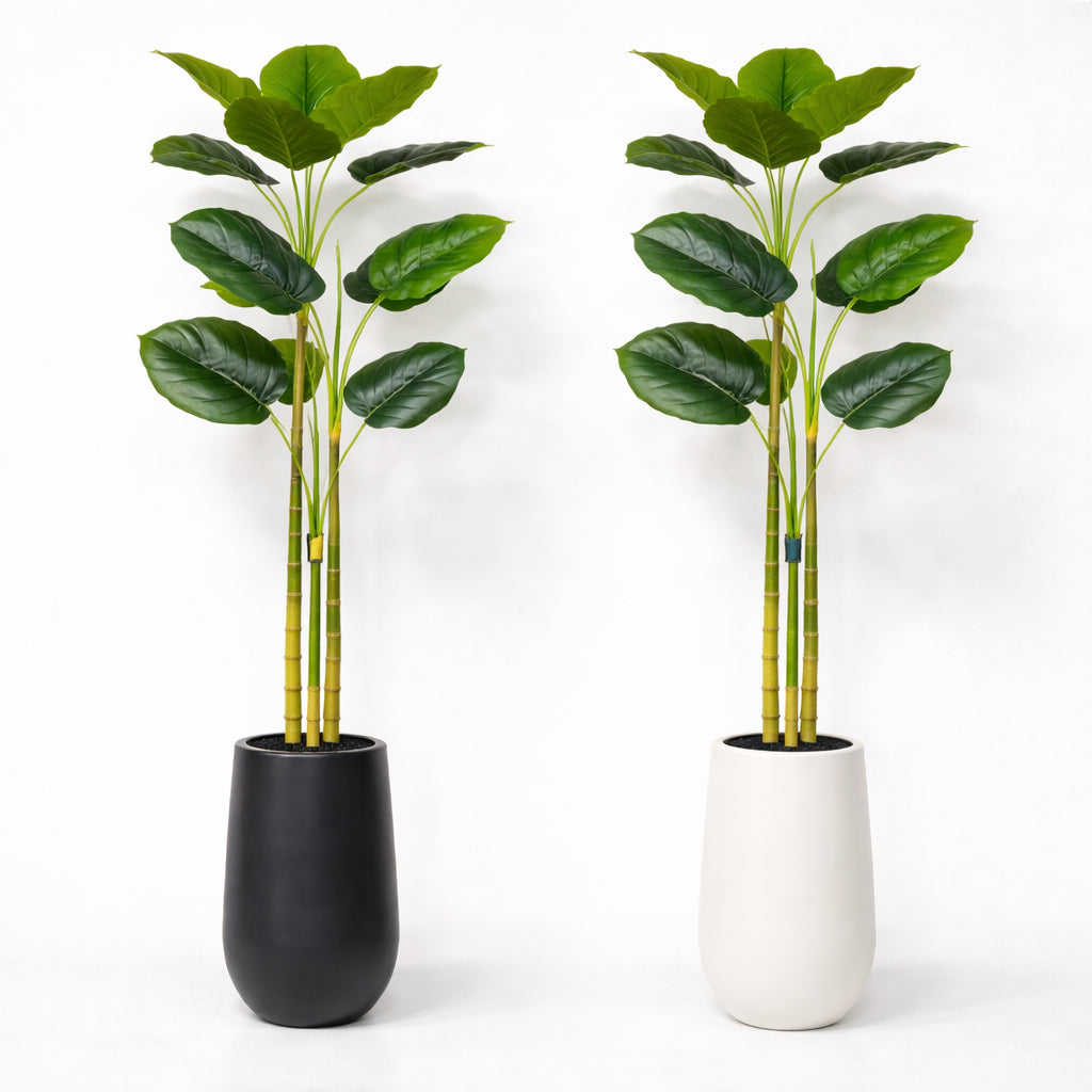 עץ דקל 3 גזעים בשילוב מעמד מעוצב 180 ס''מ