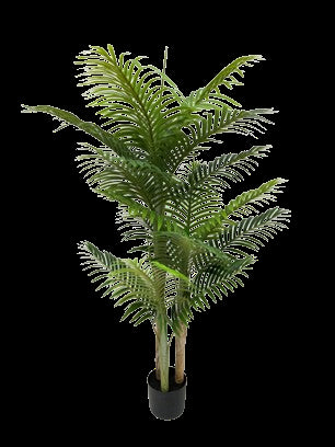 עץ דקל 3 גזעים 130 ס''מ