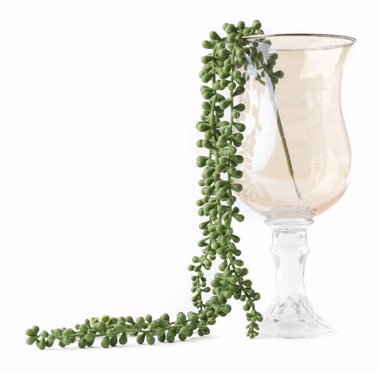 ענף נשפכים דקורטיבי דגם פנינים