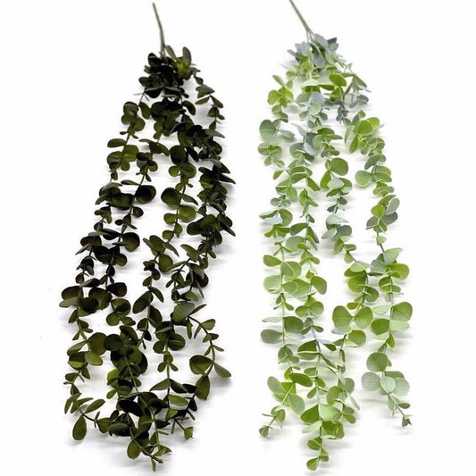 ענף אקליפטוס דקורטיבי נשפך