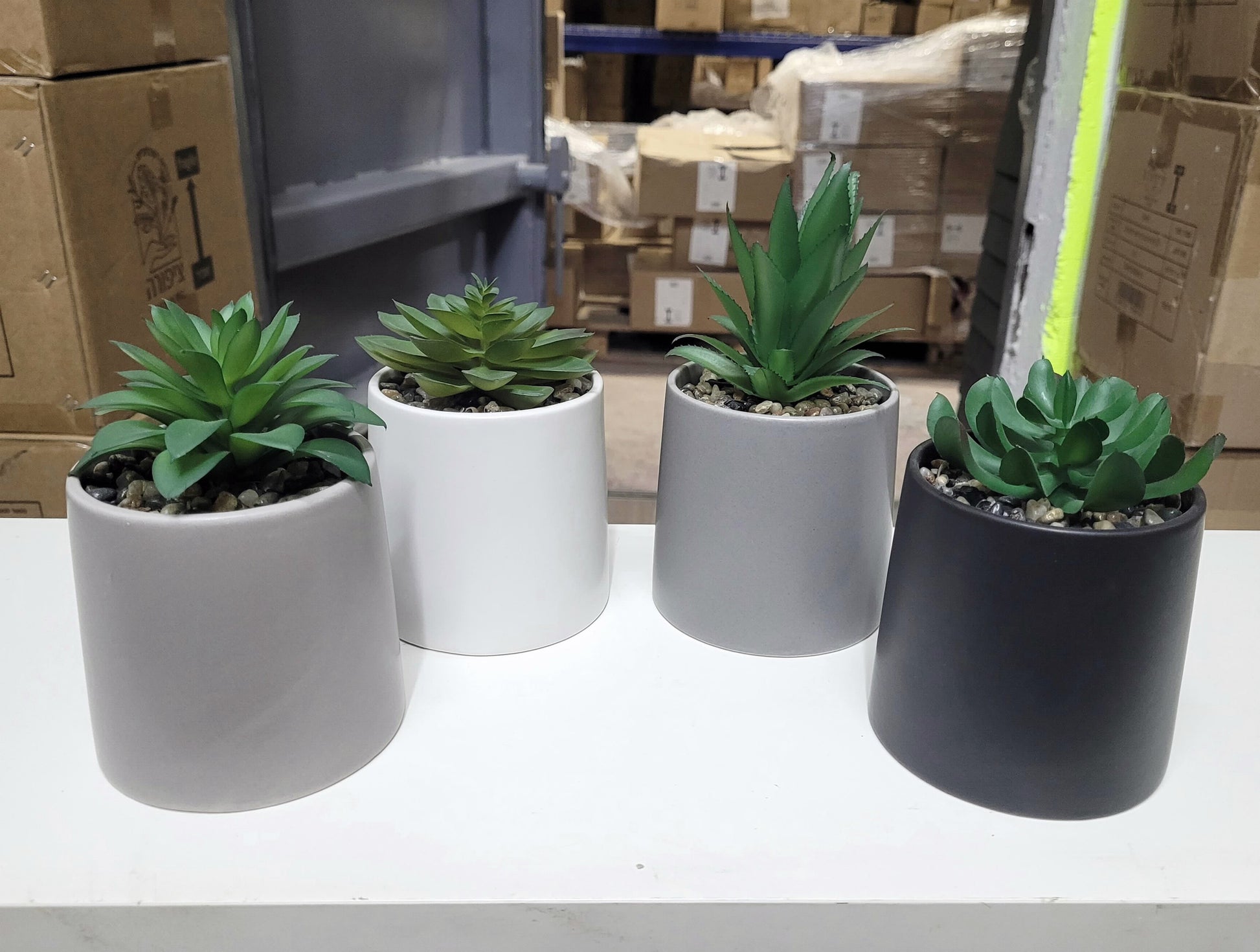 עציץ סוקולנט דגם לואי 10*20