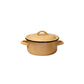 סיר אמייל נמוך 2.5 ל׳ קוטר 20 ס״מ כתום DreamChef Delicious