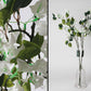בוקט פרחי BOUGAINVULLEA בגודל 100*22  בצבע לבן
