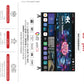 טלוויזיה 65 4K smart WEBOS AI 65QWEB 