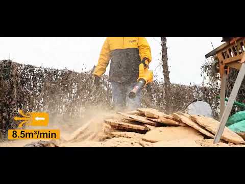 גוף מפוח עלים עוצמתי 20V